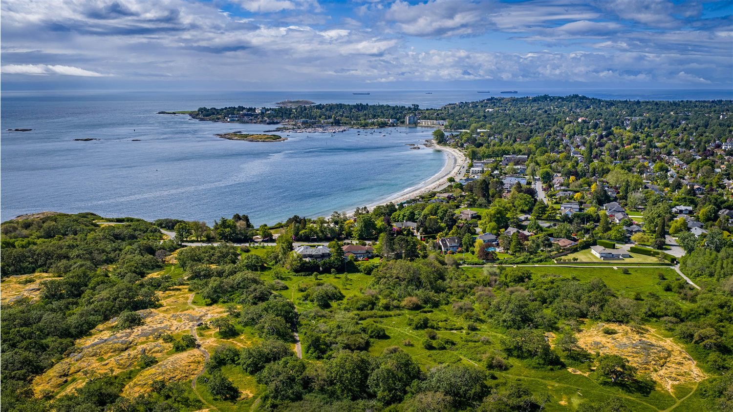 Aerial view of the Oak Bay waterfront and neighbourhood