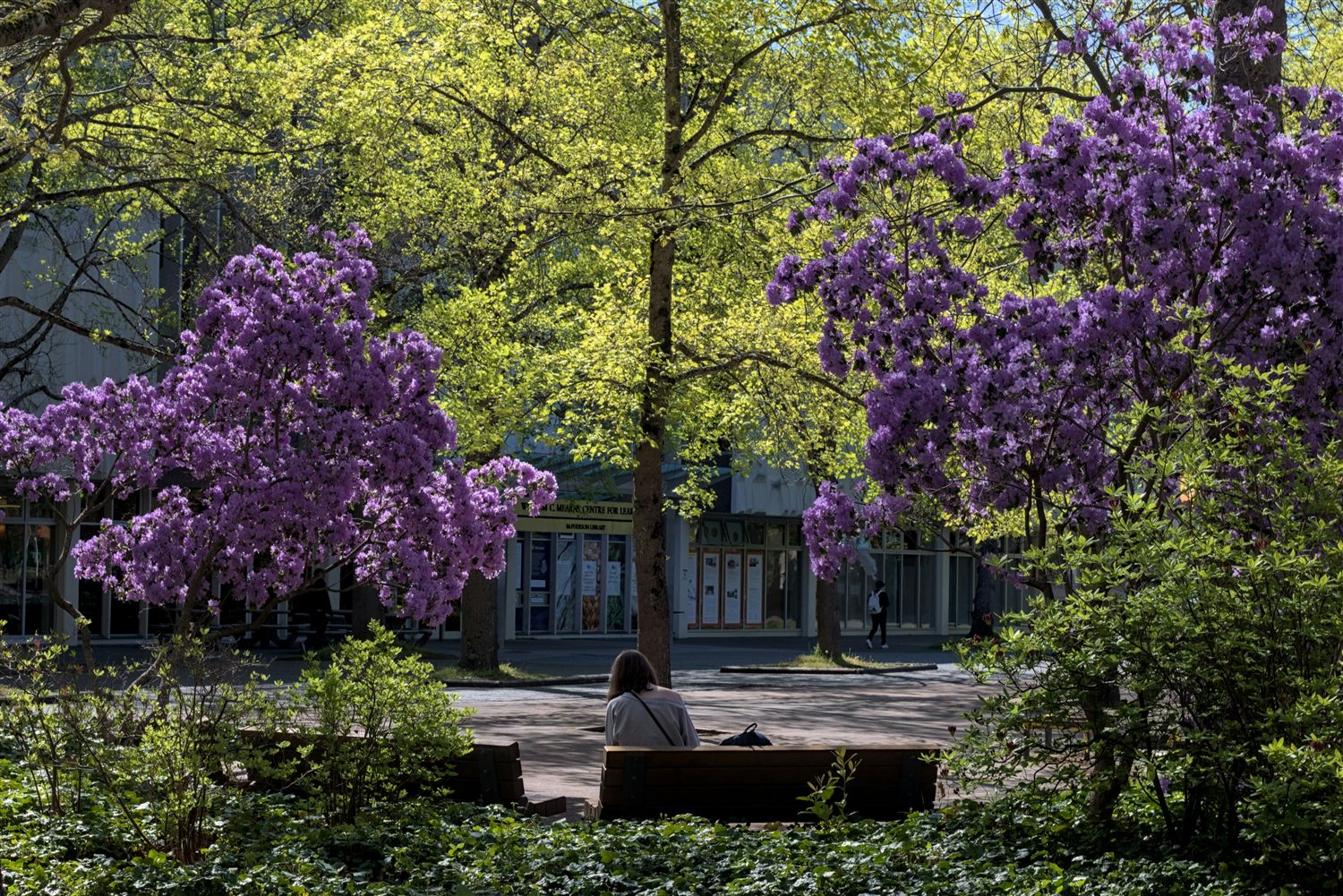 The University of Victoria campus