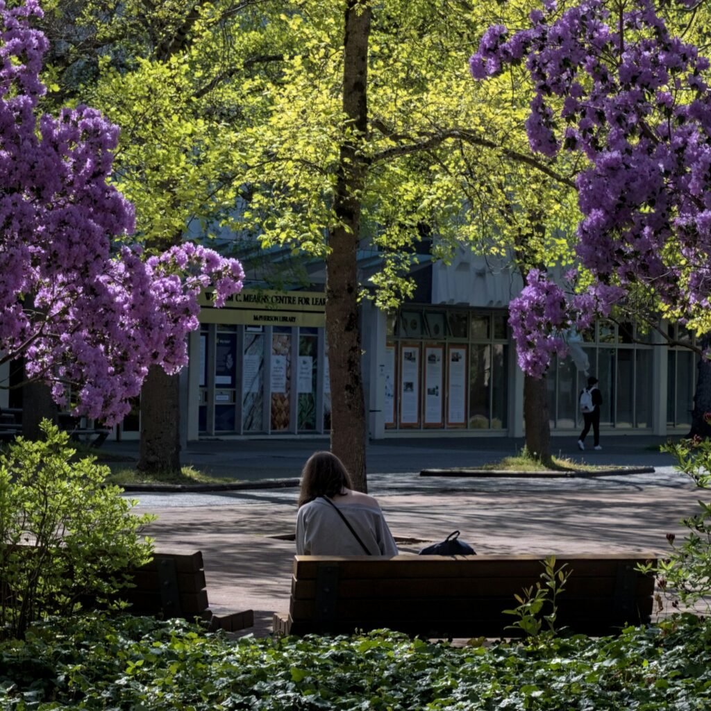 Student studying on the UVic quad with the library in the background