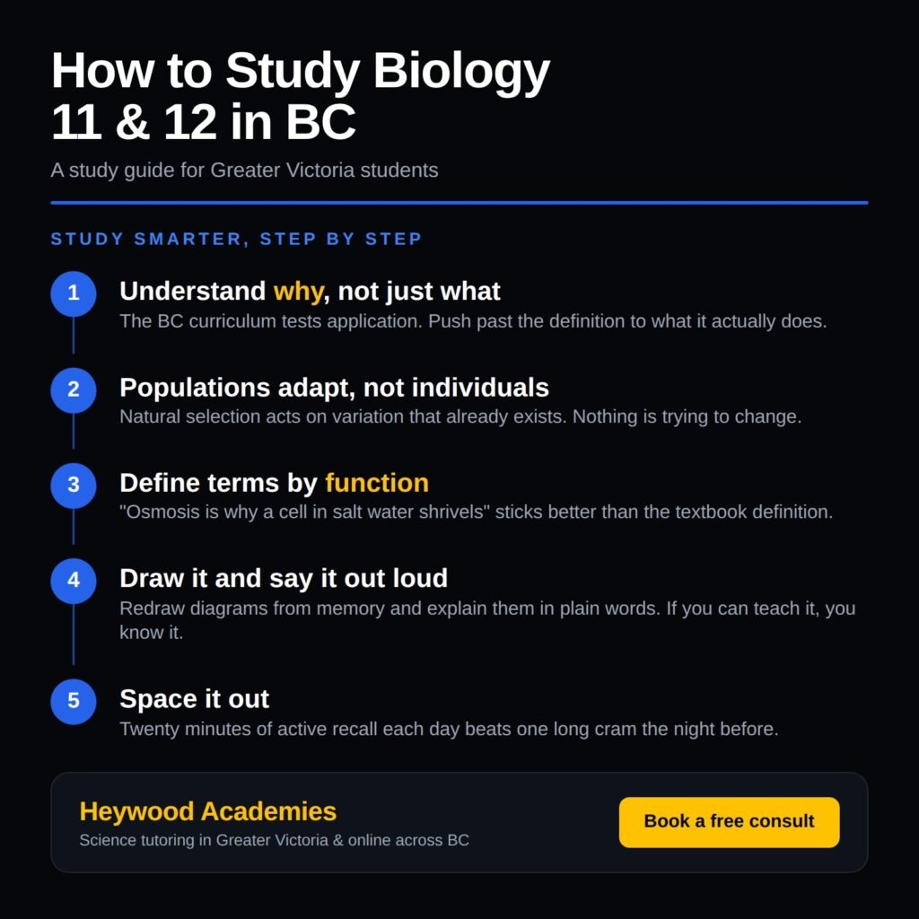 Infographic with five tips for studying Biology 11 and 12 in BC, from Heywood Academies, with a "Book a free consult" button.